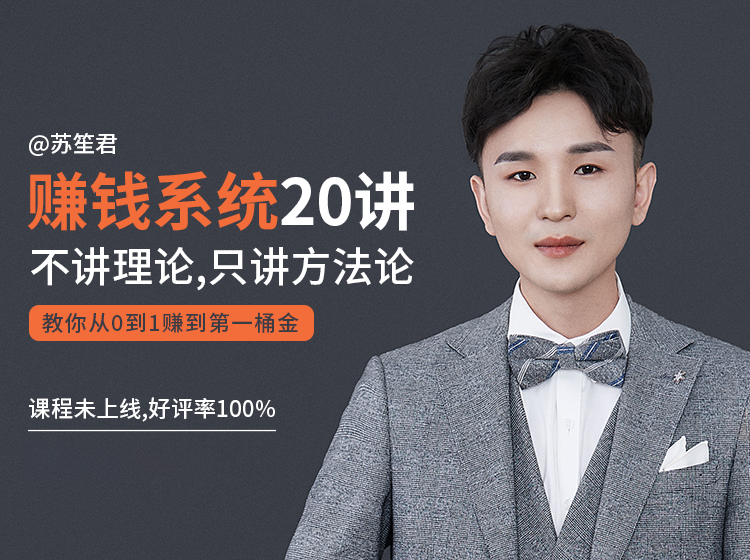 苏笙君的赚钱系统20课 教你从0到1赚到你的第一桶金（不讲理论，只讲方法论）-阿俊淘金