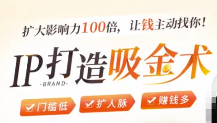 IP打造吸金术：0基础0资源，也能扩大影响力100倍，让钱主动找你！-阿俊淘金