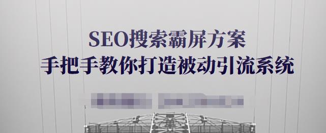 SEO搜索霸屏方案，手把手教你打造被动引流系统【视频课程】-阿俊淘金