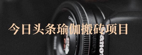 猎人社区·今日头条瑜伽搬砖项目，单号一天几十收入，可以批量操作！-阿俊淘金