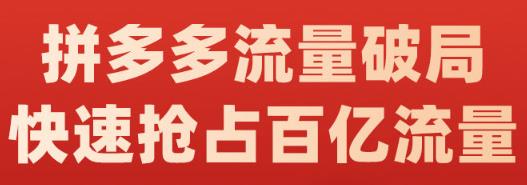 阿杰·拼多多流量破局:如何打黑标,爆款的思路,拼多多流量框架,快速抢占百亿流量-第一资源库