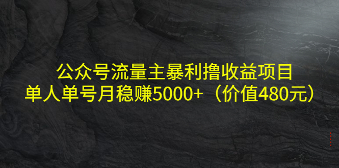 公众号流量主暴利撸收益项目,单人单号月稳赚5000+(价值480元)-第一资源库