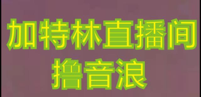 抖音加特林直播间搭建技术，抖音0粉开播，暴力撸音浪，2023新口子，每天800+【素材+详细教程】-阿俊淘金