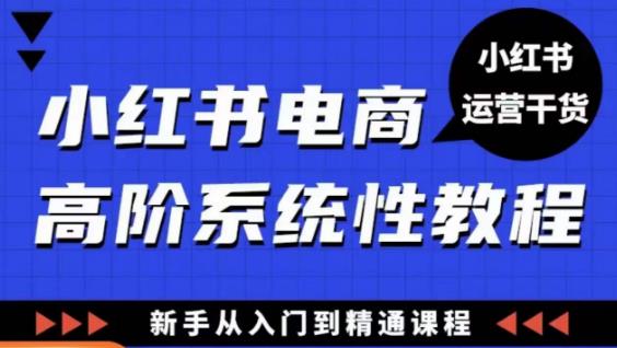 小红书电商高阶系统教程，新手从入门到精通系统课-阿俊淘金