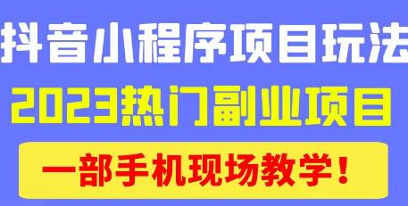 抖音小程序9.0新技巧,2023热门副业项目,动动手指轻松变现-第一资源库