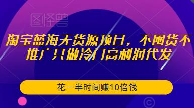 淘宝蓝海无货源项目,不囤货不推广只做冷门高利润代发,花一半时间赚10倍钱-阿俊淘金