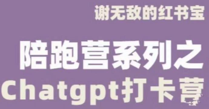 谢无敌ChatGPT打卡营,教你更好地使用ChatGPT来提高工作效率-第一资源库