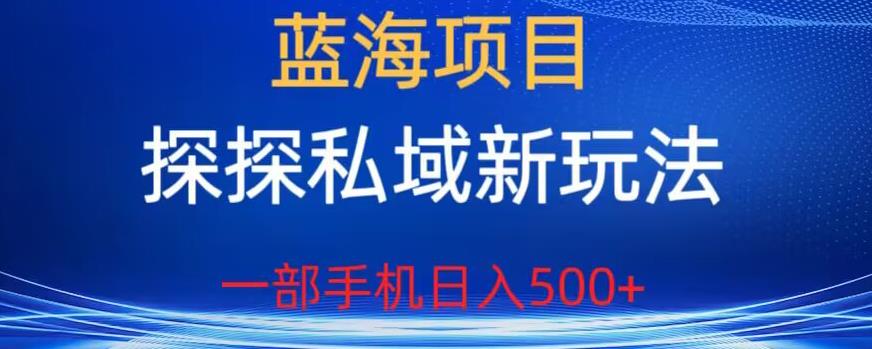 蓝海项目,探探私域新玩法,一部手机日入500+很轻松【揭秘】-第一资源库