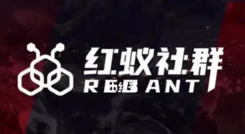 社群运营:红蚁社群【48节落地系统课程+2000人高端社群】-阿俊淘金