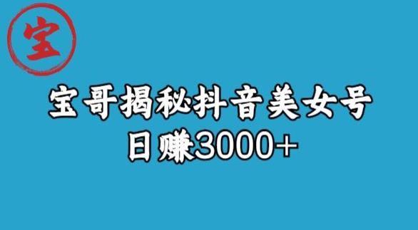 宝哥揭秘抖音美女号玩法,日赚3000+【揭秘】-第一资源库