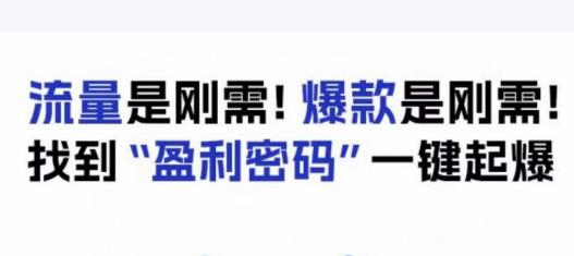 电商盈利精品课：6大盈利密码让产品更好卖，流量是刚需！爆款是刚需！找到”盈利密码”一键起爆-阿俊淘金