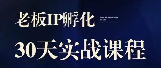 诸葛·2023老板IP实战课，实体同城引流获客，IP孵化必听-阿俊淘金