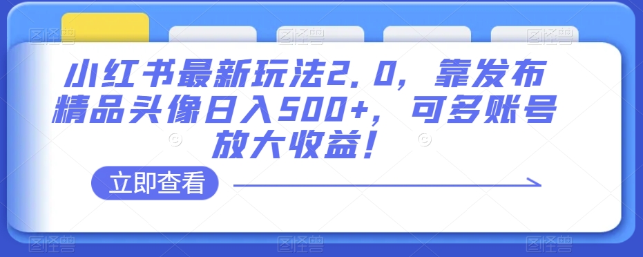 小红书最新玩法2.0,靠发布精品头像日入500+,可多账号放大收益!【揭秘】-第一资源库