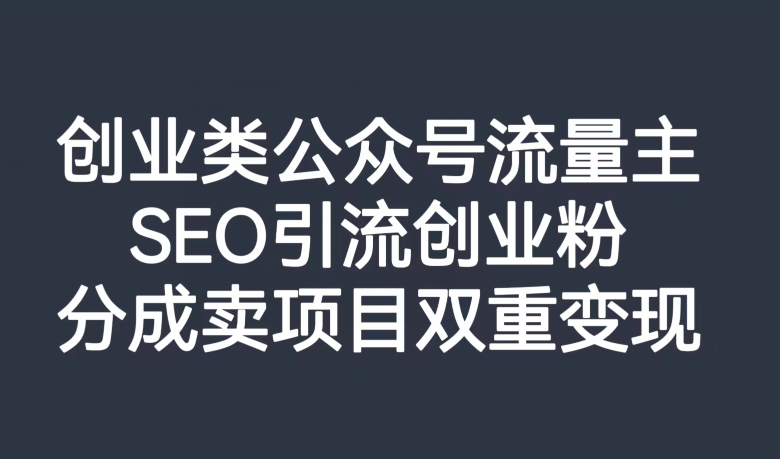 创业类公众号流量主，SEO引流创业粉，分成卖项目双重变现【揭秘】-阿俊淘金