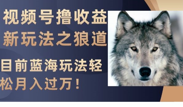 视频号撸收益新玩法之狼道,目前蓝海玩法,轻松月入过万【揭秘】-阿俊淘金