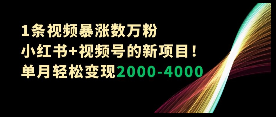 1条视频暴涨数万粉–小红书+视频号的新项目！单月轻松变现2000-4000【揭秘】-阿俊淘金