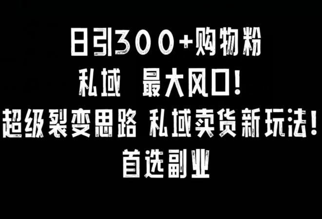 日引300+购物粉,超级裂变思路,私域卖货新玩法,小红书首选副业【揭秘】-阿俊淘金