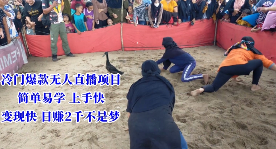 冷门爆款无人直播项目，简单易学上手快，变现快日赚2千不是梦【揭秘】-阿俊淘金