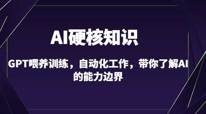 AI硬核知识-GPT喂养训练,自动化工作,带你了解AI的能力边界(10节课)-阿俊淘金