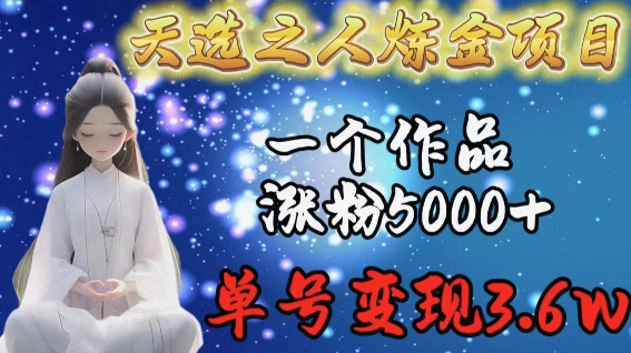 天选之人炼金项目，一个作品涨粉5000+，单号变现3.6w【揭秘】-第一资源库