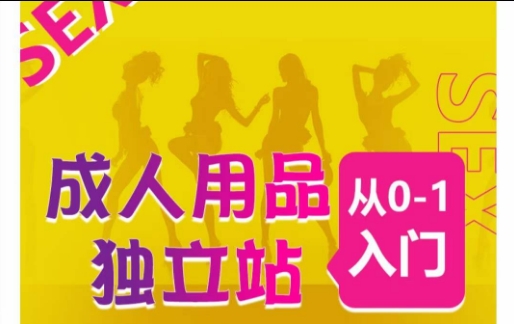 成人用品独立站从0-1入门,成品独立站运营全流程教学,七大好卖成品独立站推荐-第一资源库