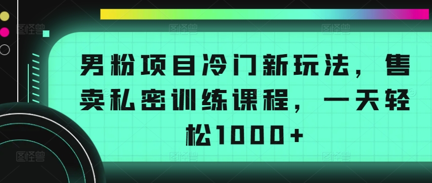 男粉项目冷门新玩法，售卖私密训练课程，一天轻松1000+【揭秘】-阿俊淘金