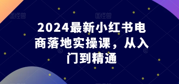 2024最新小红书电商落地实操课，从入门到精通-阿俊淘金