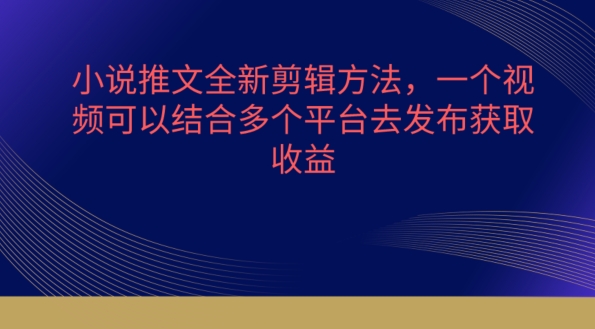 小说推文全新剪辑方法，一个视频可以结合多个平台去发布获取【揭秘】-阿俊淘金