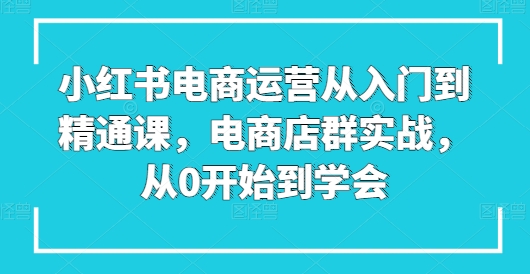 小红书电商运营从入门到精通课,电商店群实战,从0开始到学会-阿俊淘金