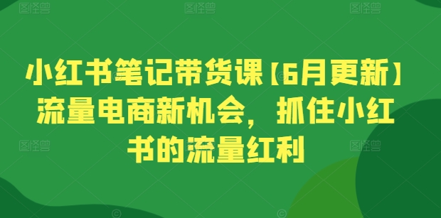 小红书笔记带货课【6月更新】流量电商新机会，抓住小红书的流量红利-第一资源库