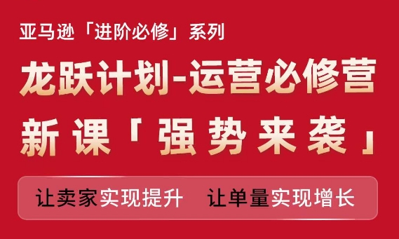 亚马逊进阶必修系列，龙跃计划-运营必修营新课，让卖家实现提升 让单量实现增长-阿俊淘金