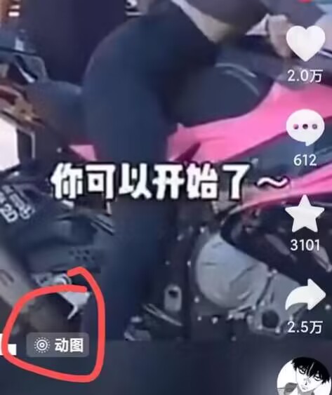 2024年7月苹果手机动图搬运技术-阿俊淘金