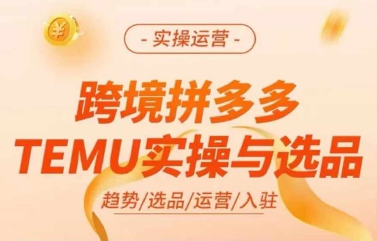 跨境拼多多TEMU实操与选品,多多temu跨境选品运营实操-第一资源库