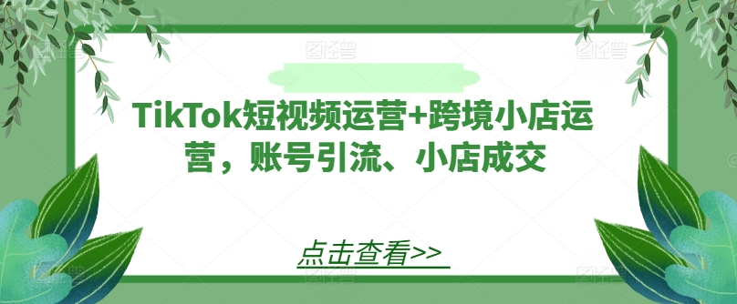TikTok短视频运营+跨境小店运营,账号引流、小店成交-第一资源库