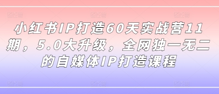 小红书IP打造60天实战营11期，5.0大升级，全网独一无二的自媒体IP打造课程-阿俊淘金