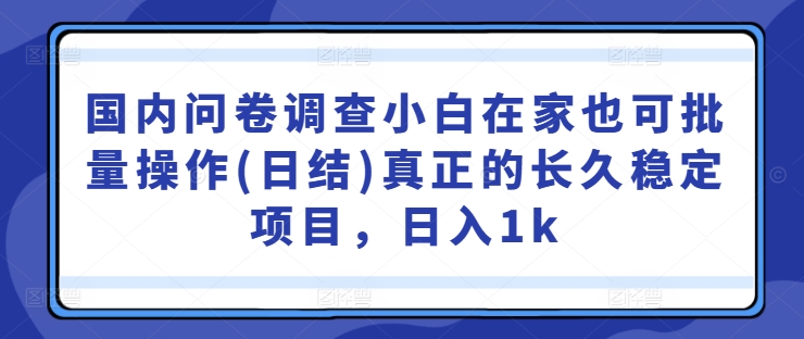 国内问卷调查小白在家也可批量操作(日结)真正的长久稳定项目,日入1k【揭秘】-第一资源库