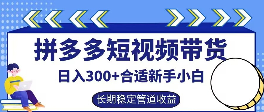 拼多多短视频带货日入300+有长期稳定被动收益，合适新手小白【揭秘】-第一资源库