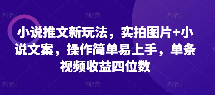 小说推文新玩法,实拍图片+小说文案,操作简单易上手,单条视频收益四位数-第一资源库