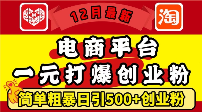 12月最新:电商平台1元打爆创业粉,简单粗暴日引500+精准创业粉,轻松月入过W【揭秘】-第一资源库