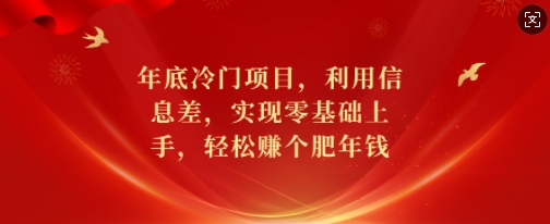 年底冷门项目,利用信息差,实现零基础上手,轻松赚个肥年钱【揭秘】-阿俊淘金