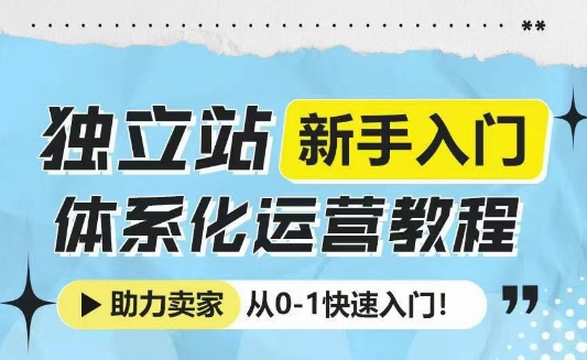 独立站新手入门体系化运营教程,助力独立站卖家从0-1快速入门!-阿俊淘金