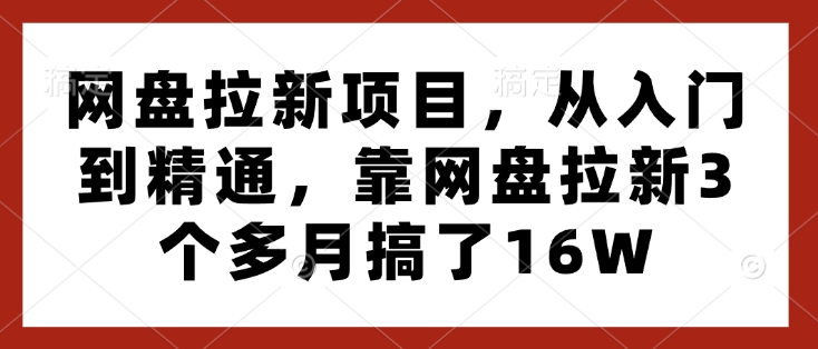 网盘拉新项目，从入门到精通，靠网盘拉新3个多月搞了16W-第一资源库