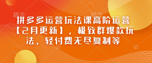 拼多多运营玩法课高阶运营【2月更新】，极致群爆款玩法，轻付费无尽复制等-阿俊淘金