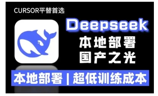 2025年deepseek R1 大型模型本地安装部署(文件+教程)本地部署，超低训练成本-阿俊淘金