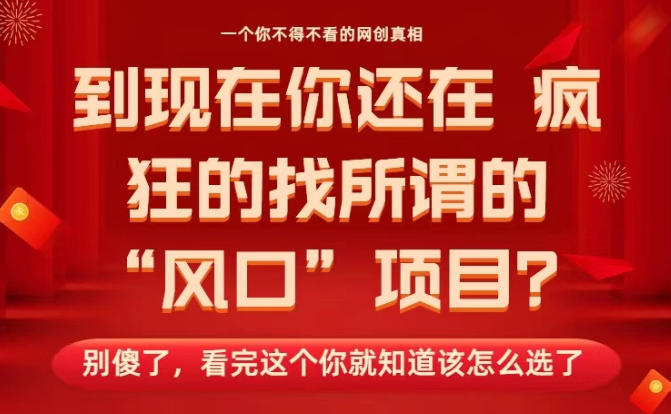 马上26年了，你还在找所谓的风口项目？别傻了，看完这个你全都懂了！【揭秘】-阿俊淘金