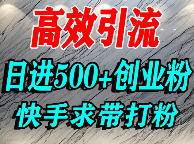 怎么打创业粉？快手求带视角精准引流创业粉，宝妈、学生群体日进500+精准流量-阿俊淘金
