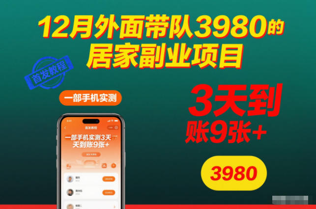 12月外面带队3980的居家副业项目，一部手机实测3天到账9张+，首发教程【揭秘】-第一资源库