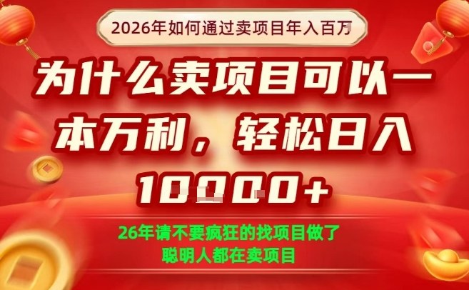 一单净利润1K+，26年想年入100个W，死磕卖项目就够了【揭秘】-阿俊淘金