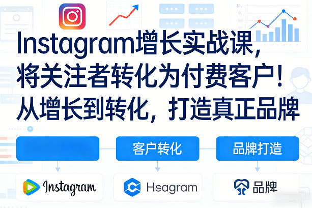 Instagram增长实战课，将关注者转化为付费客户！从增长到转化，打造真正品牌（双语字幕）-阿俊淘金