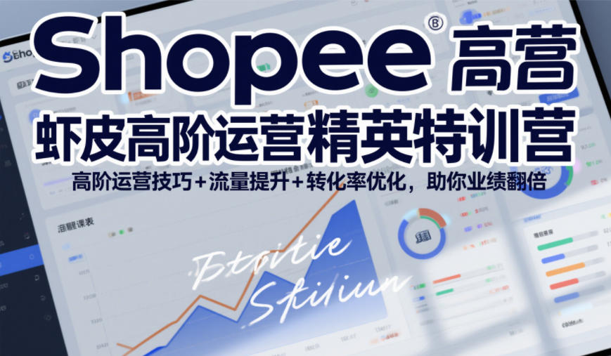 Shopee虾皮高阶运营精英特训营，高阶运营技巧+流量提升+转化率优化，助你业绩翻倍（更新26年5月）-阿俊淘金